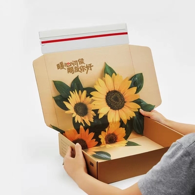 जिपर शिपिंग बॉक्स Amazonboxes / उपयोग पैकेजिंग, नालीदार बॉक्स / 300g / m²
